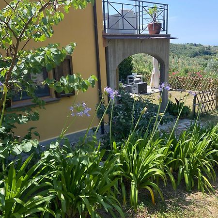 Villa Antonella Castellina Marittima Exteriér fotografie