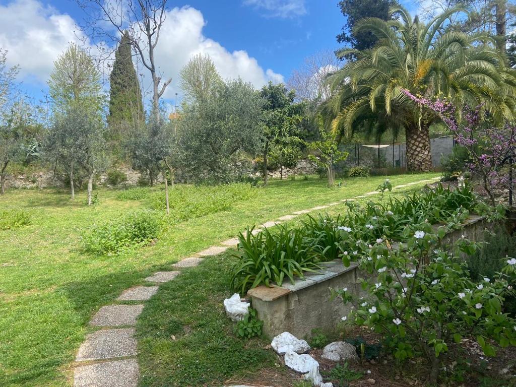 Villa Antonella Castellina Marittima Exteriér fotografie